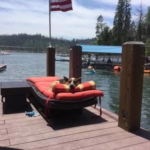 Meet your Posher, Jill